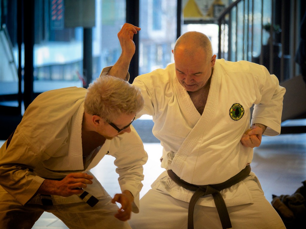 Århus Shuri Ryu Karate